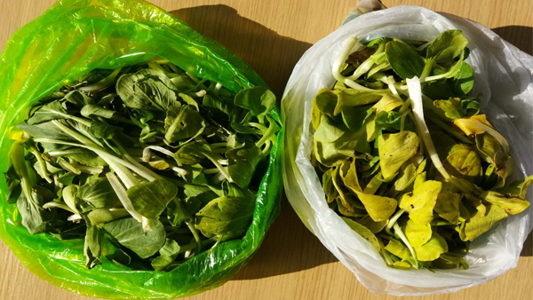 可降解塑料袋能不能放冰箱？