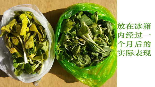 生物降解袋能直接包裝食品嗎？